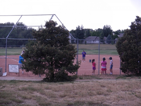 Lefthand Valley Grange Ballfield Backstop